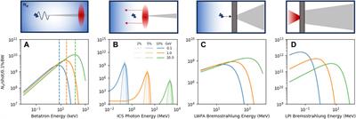 X-ray detector requirements for laser–plasma accelerators